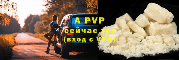 прущие грибы Магадан