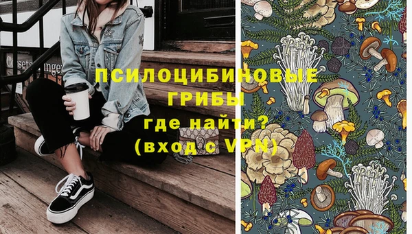 прущие грибы Магадан