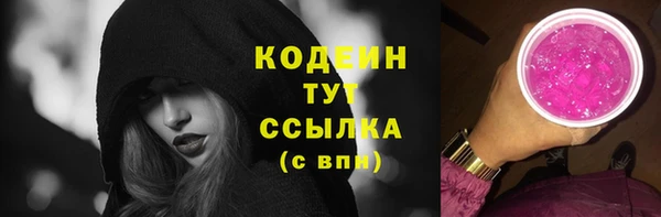прущие грибы Магадан
