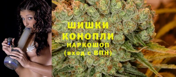 прущие грибы Магадан