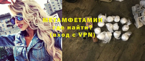 прущие грибы Магадан
