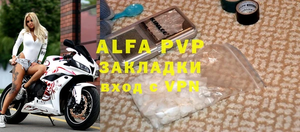 прущие грибы Магадан