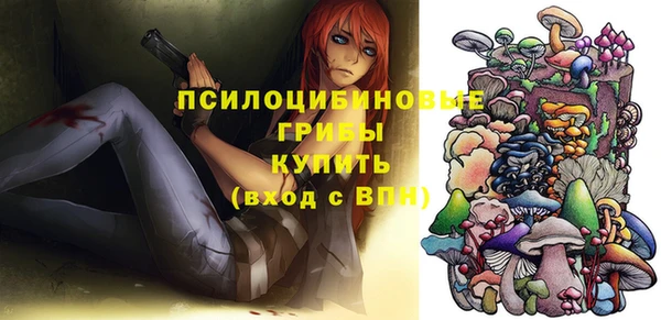 прущие грибы Магадан