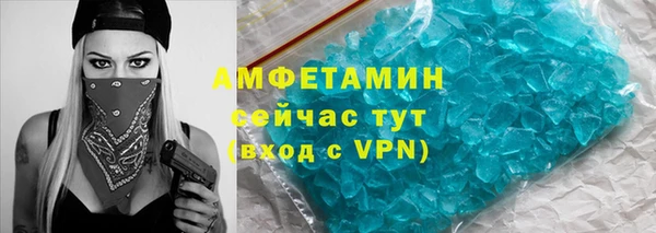 прущие грибы Магадан