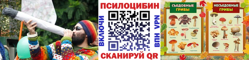 наркота  Тотьма  Псилоцибиновые грибы Magic Shrooms 